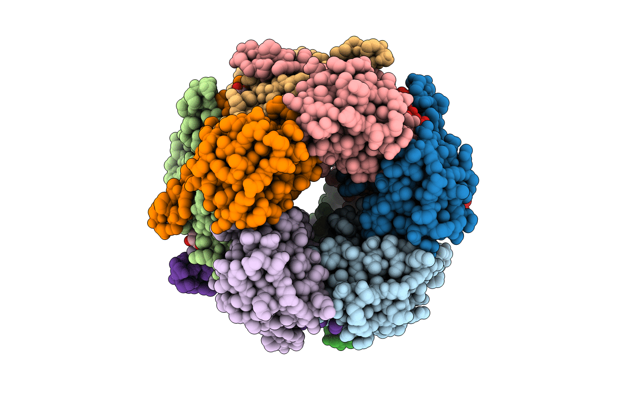 4Y42 image