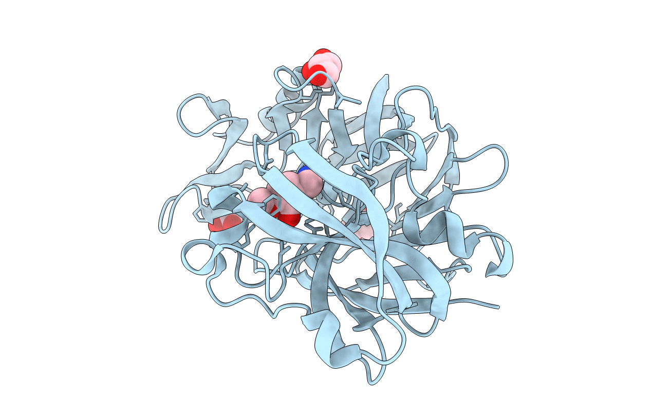 4Y4A image
