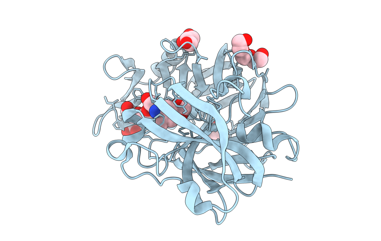 4Y4B image
