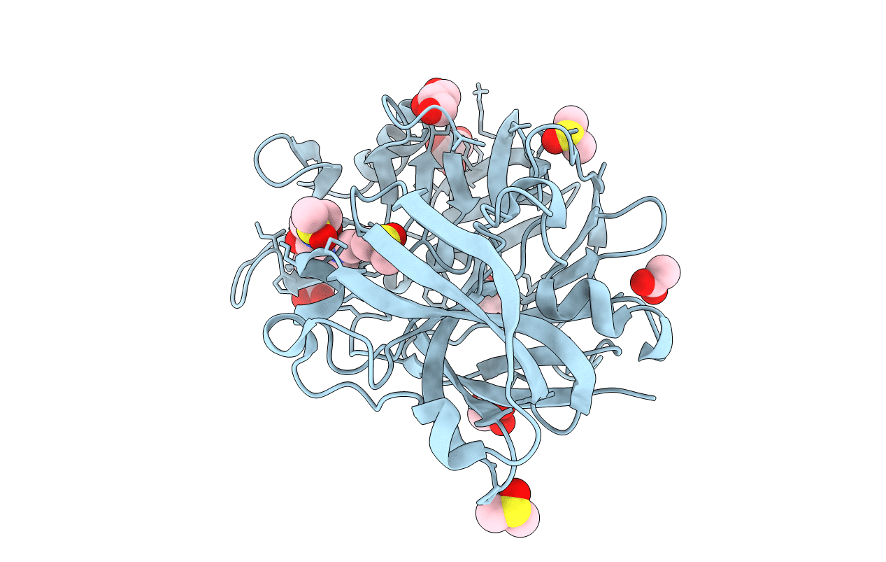 4Y4D image