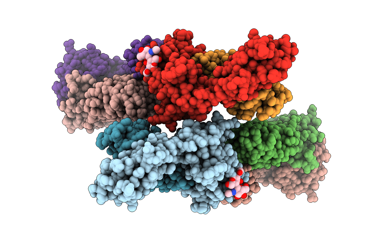 4Y4F image