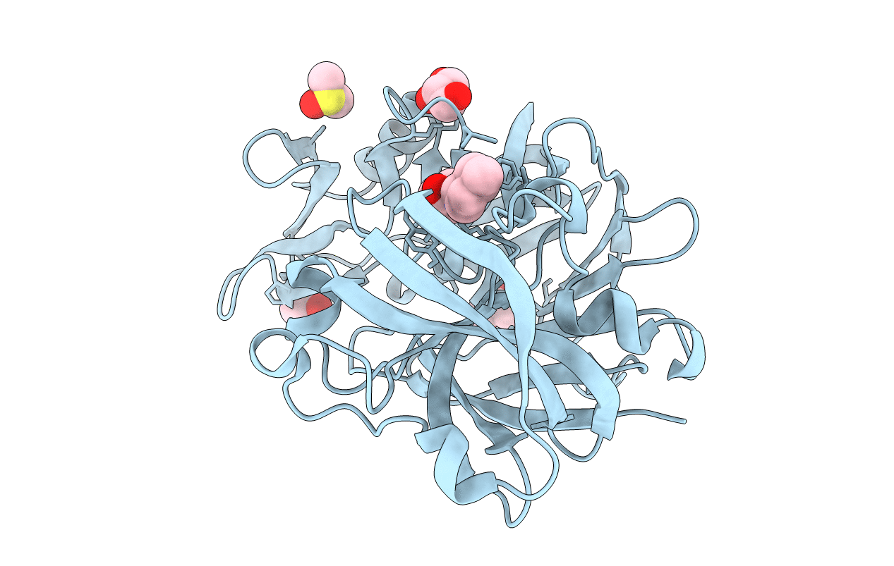 4Y5E image