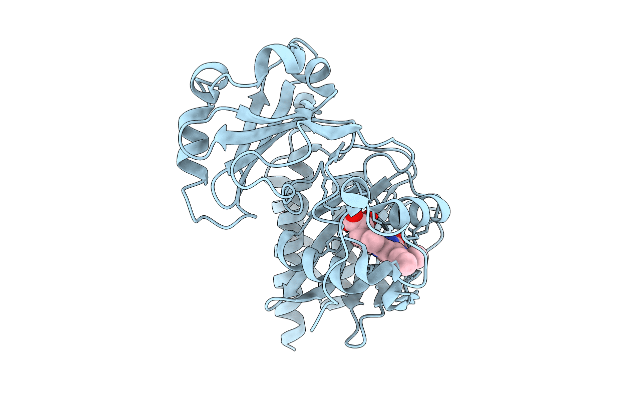 4Y5F image