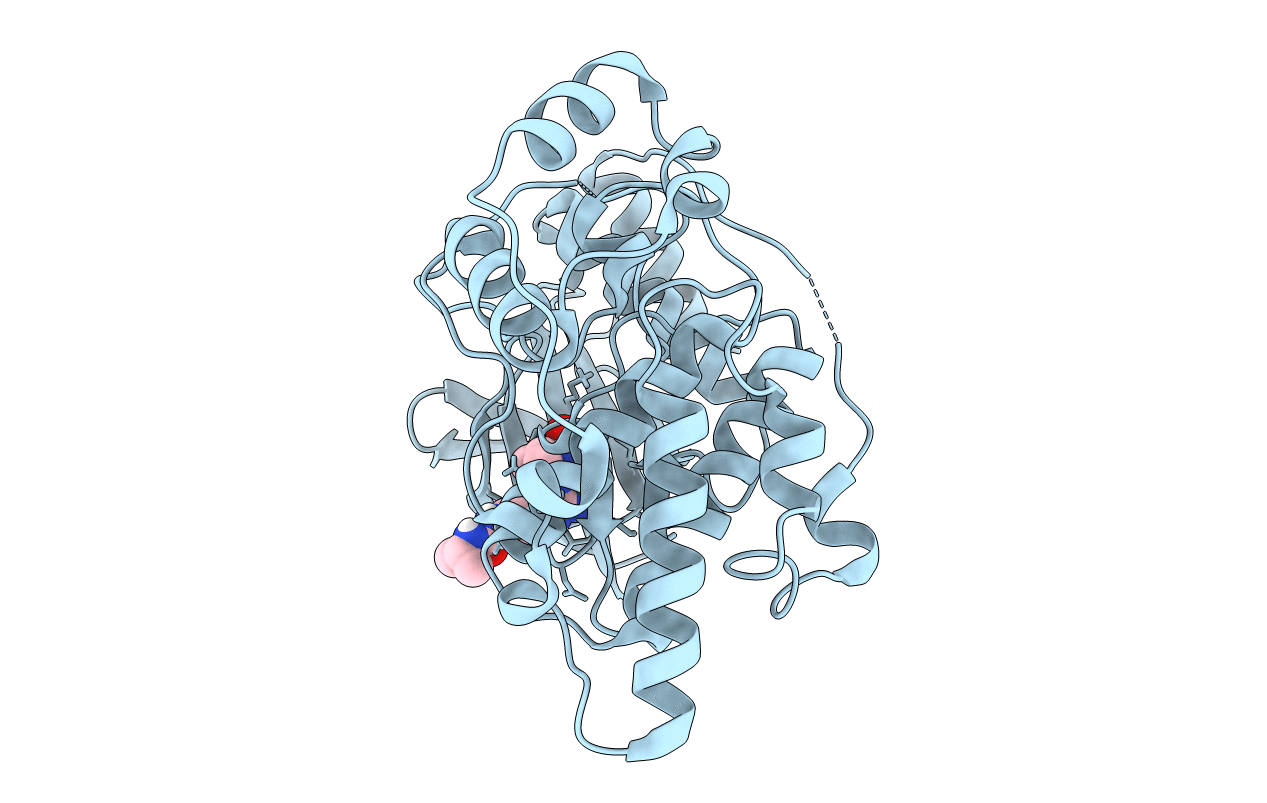 4Y5H image