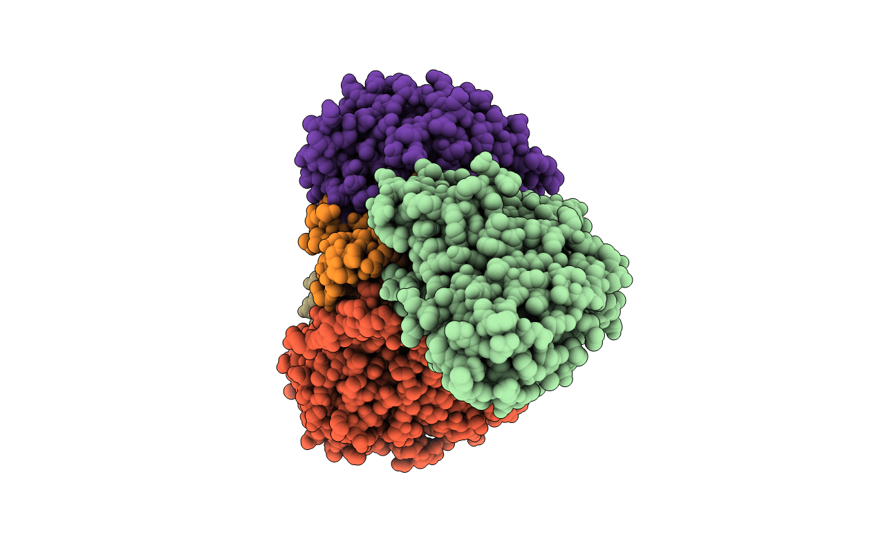 4Y5R image