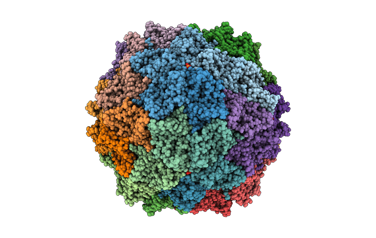 4Y5Z image