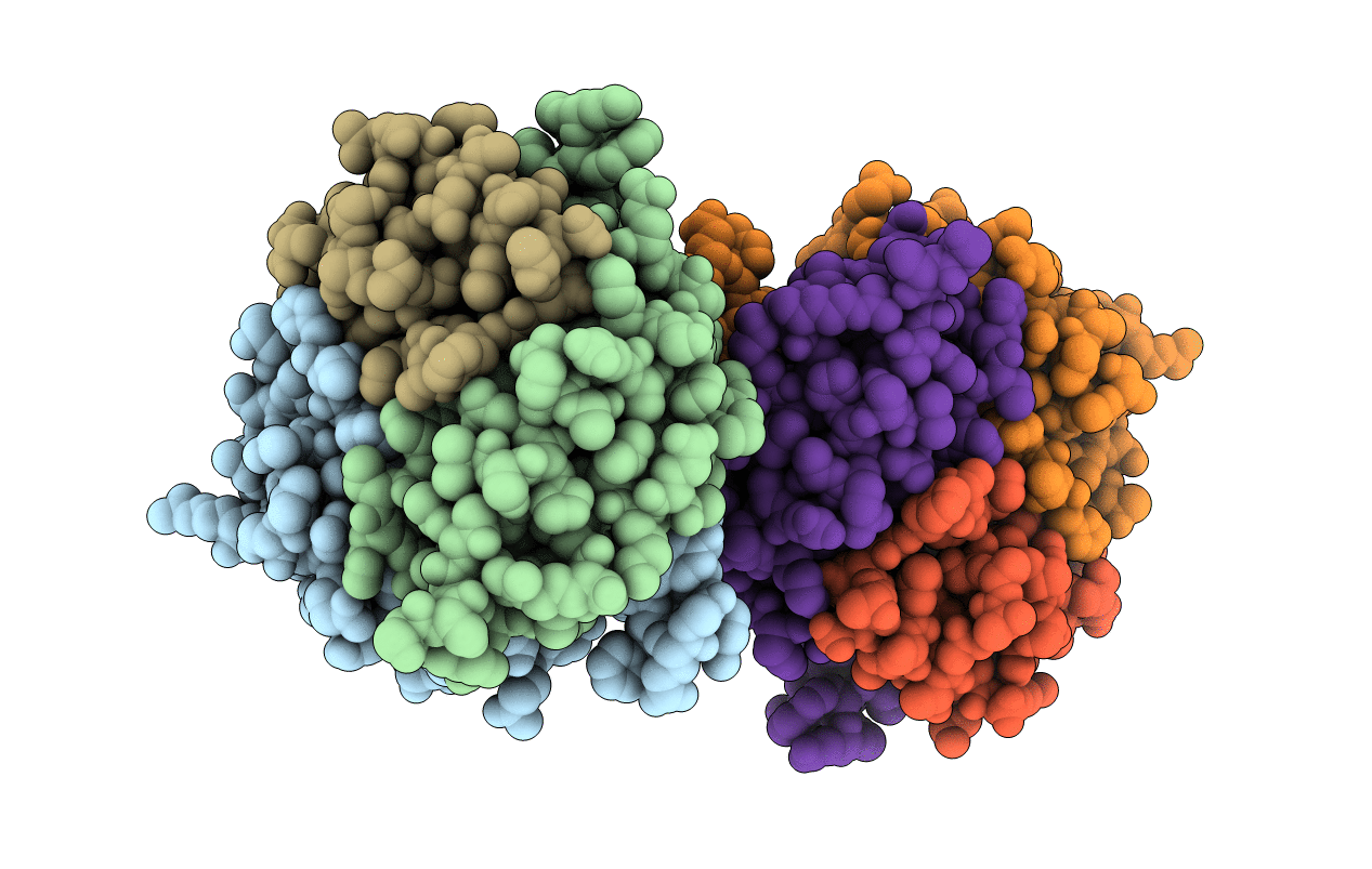 4Y6I image