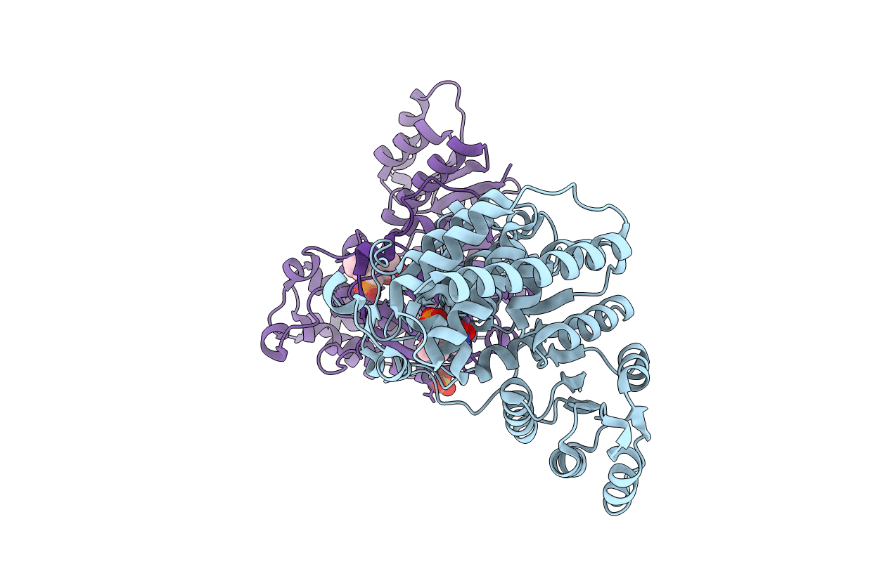 4Y6R image