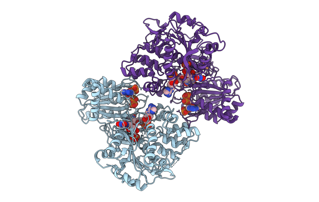 4Y7C image