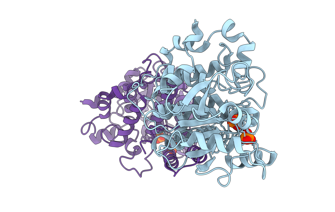 4Y7I image