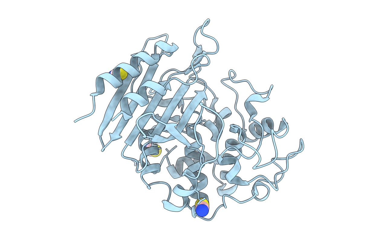 4Y7P image