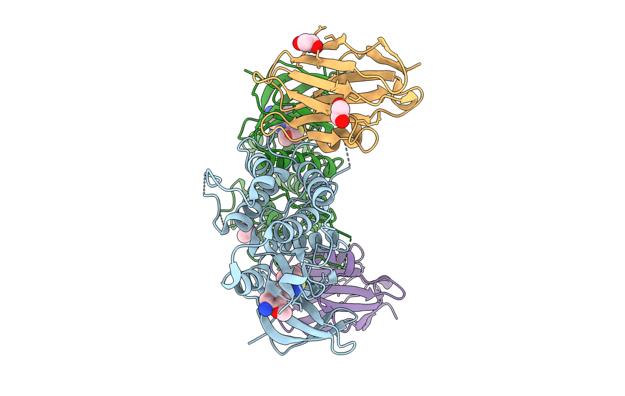 4Y8D image