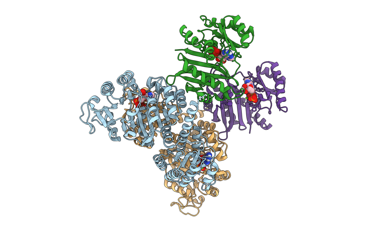 4Y8V image