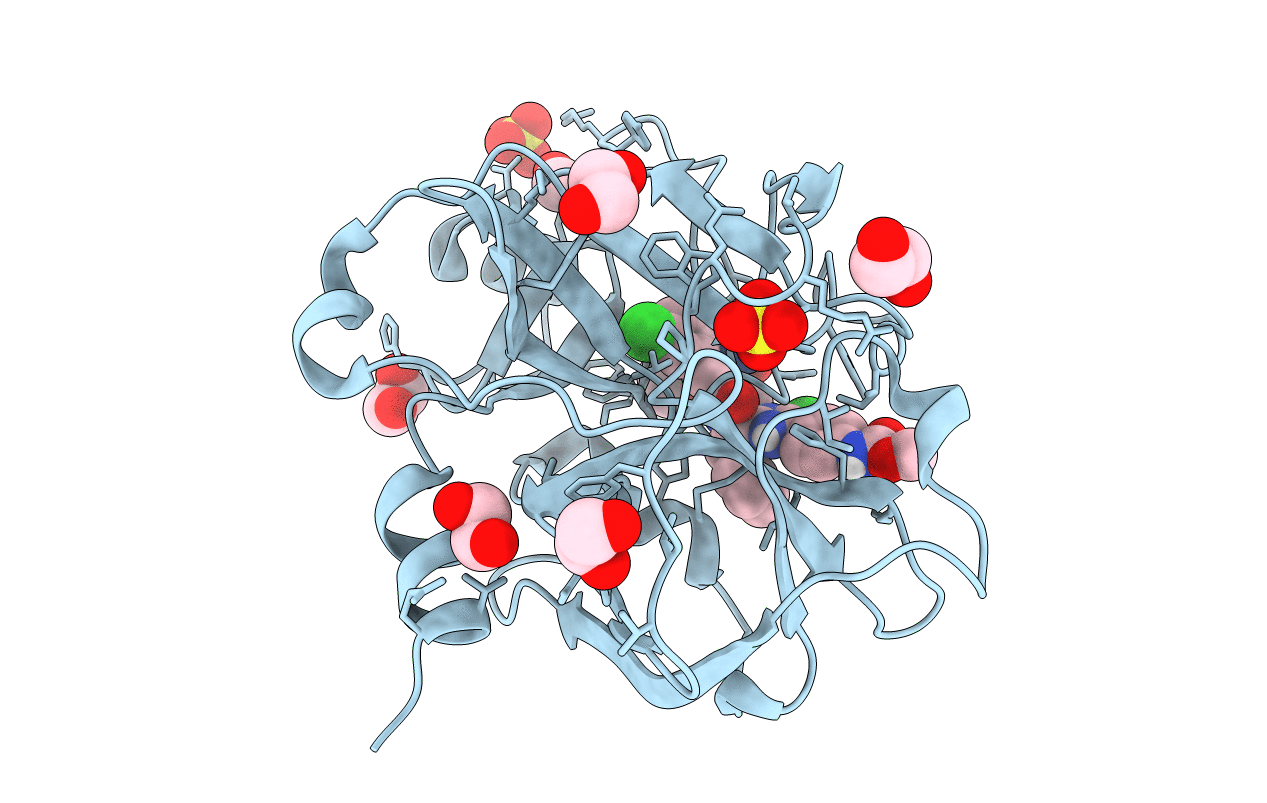 4Y8X image
