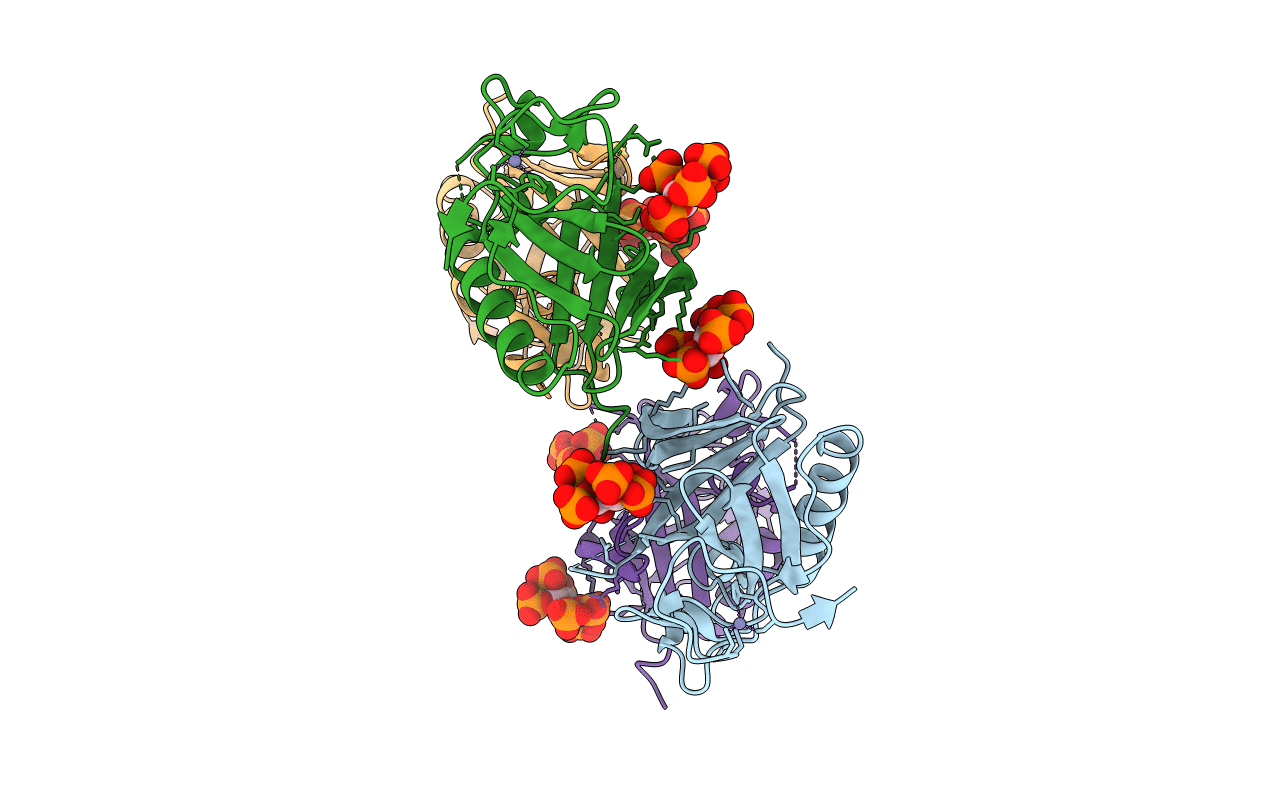 4Y94 image