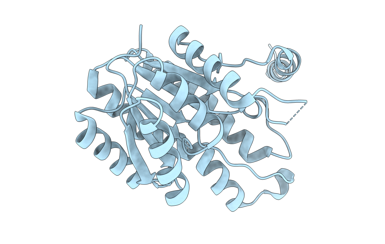 4Y98 image