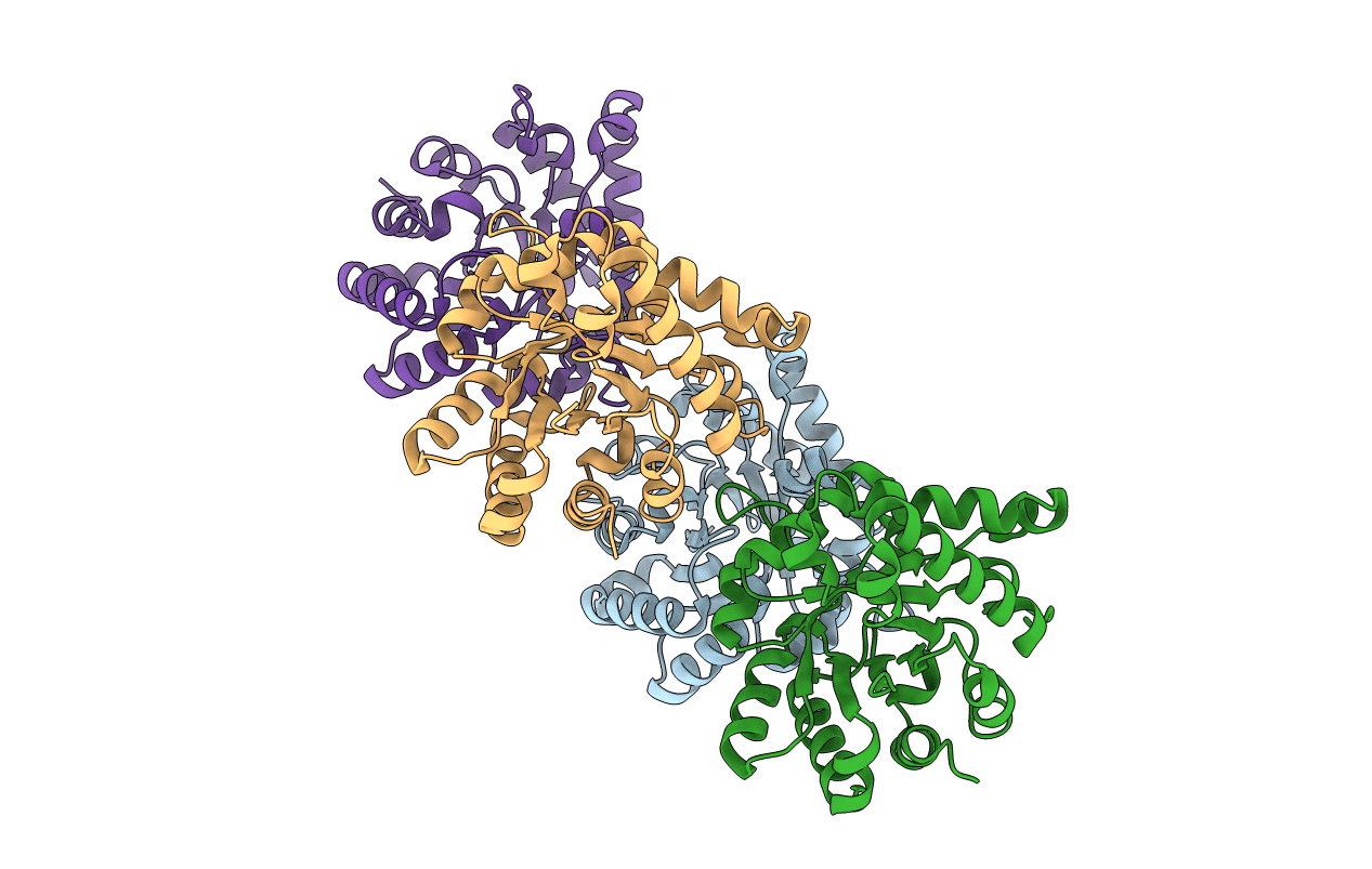4Y9A image