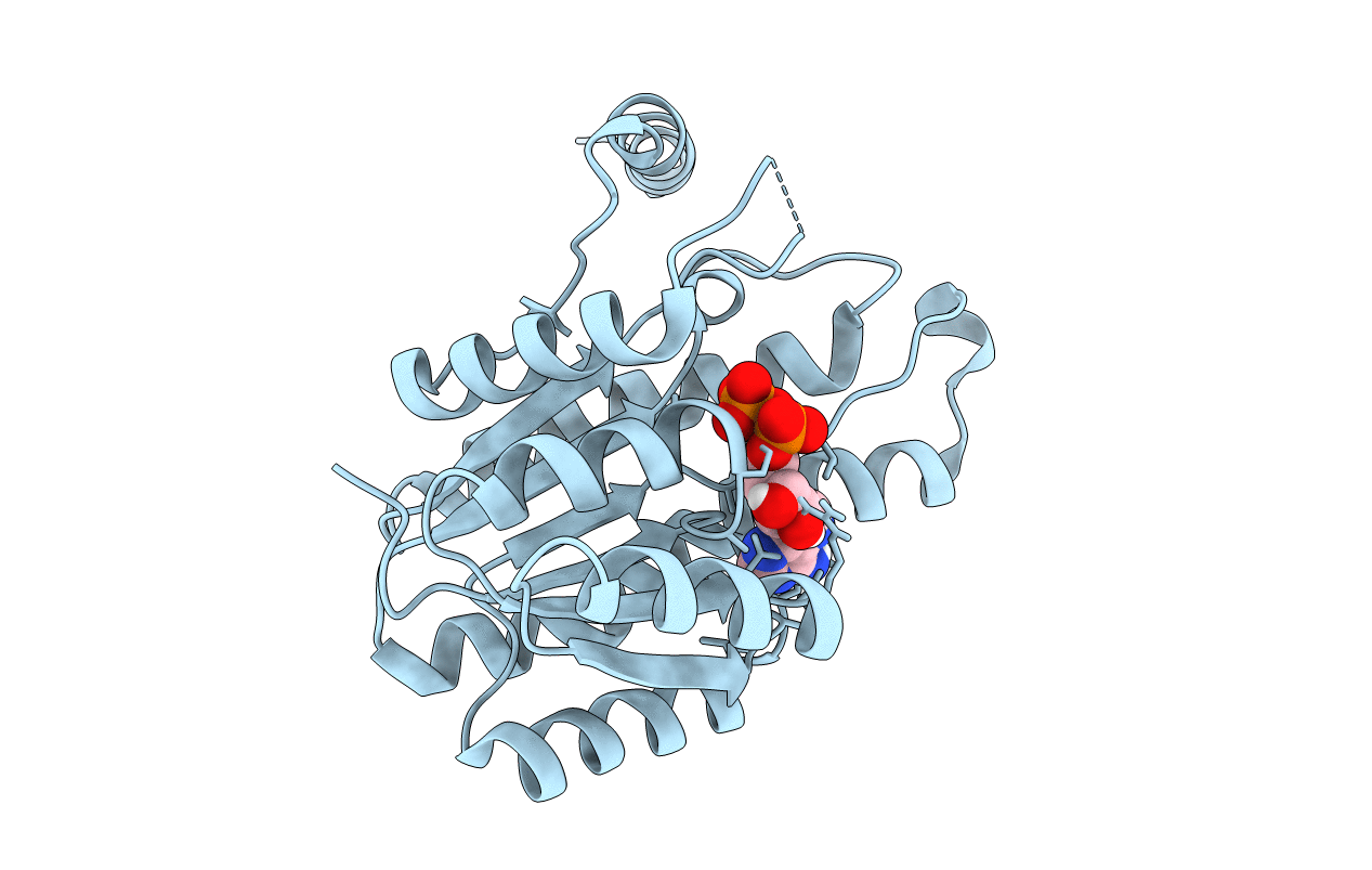 4Y9D image