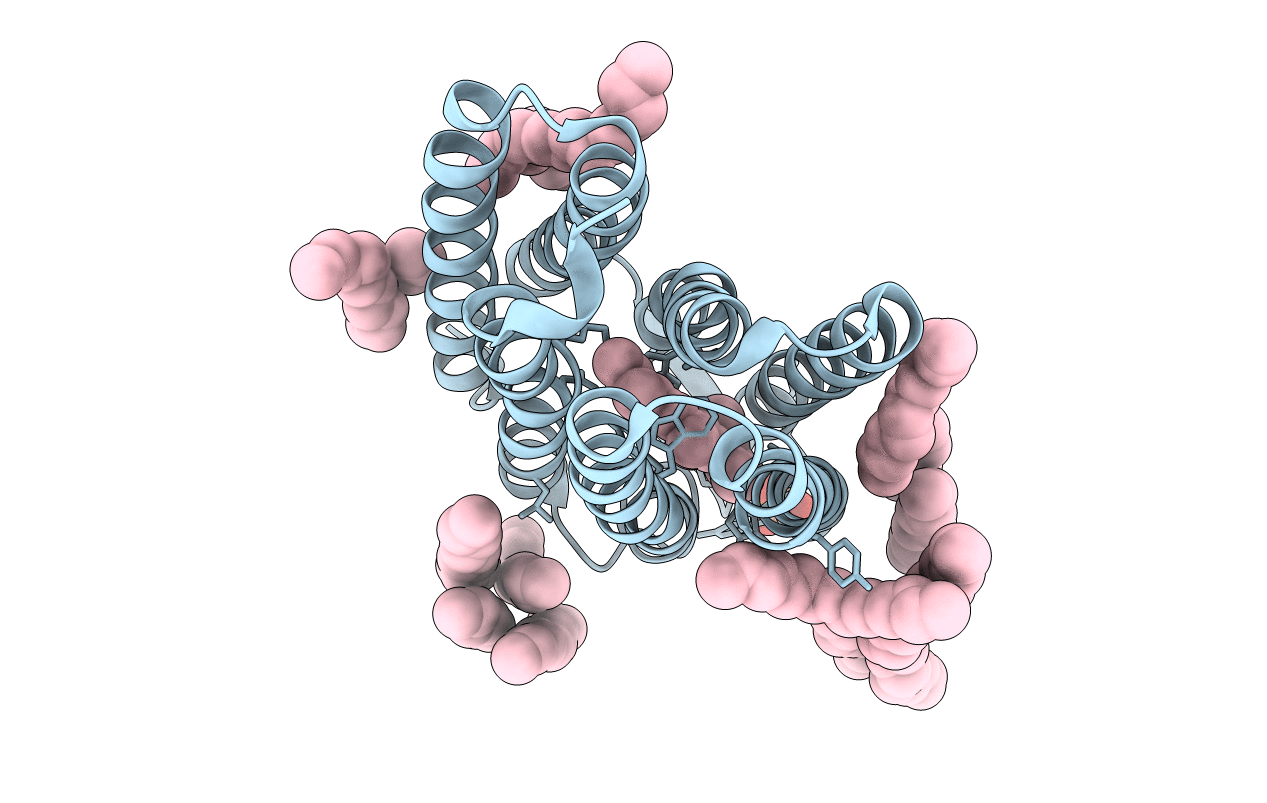 4Y9H image