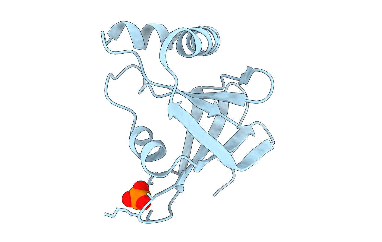 4Y9I image