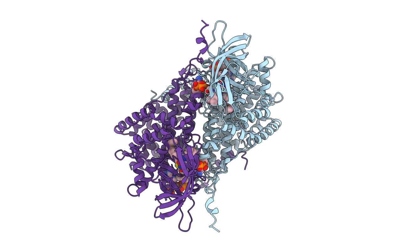 4Y9J image