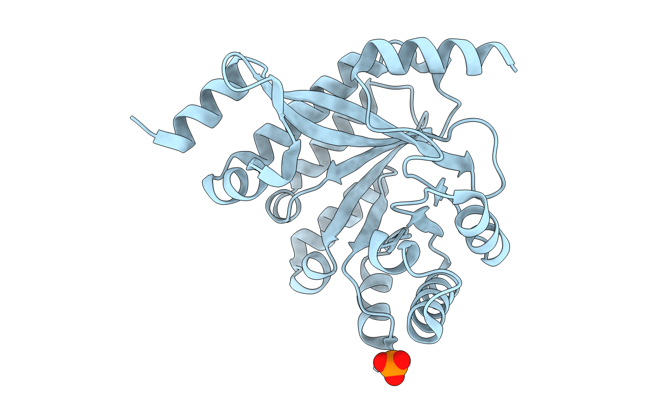 4Y9M image