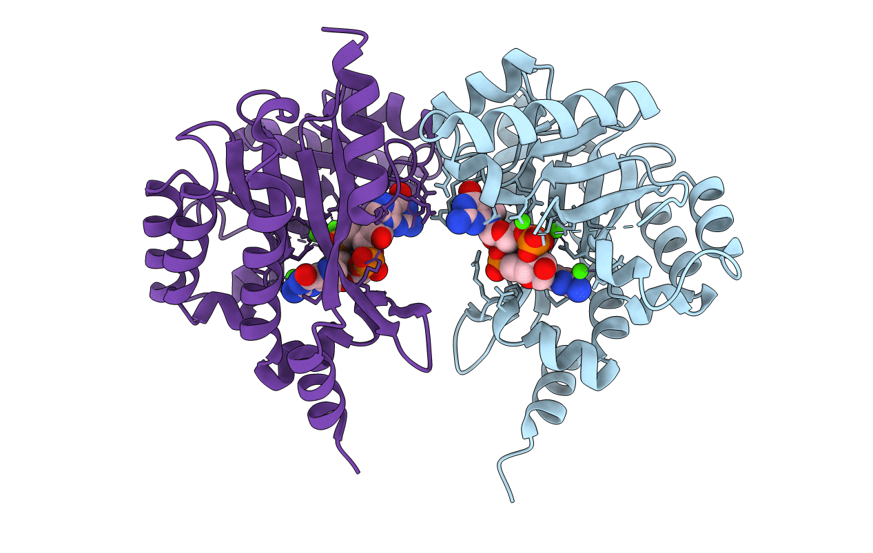 4Y9P image