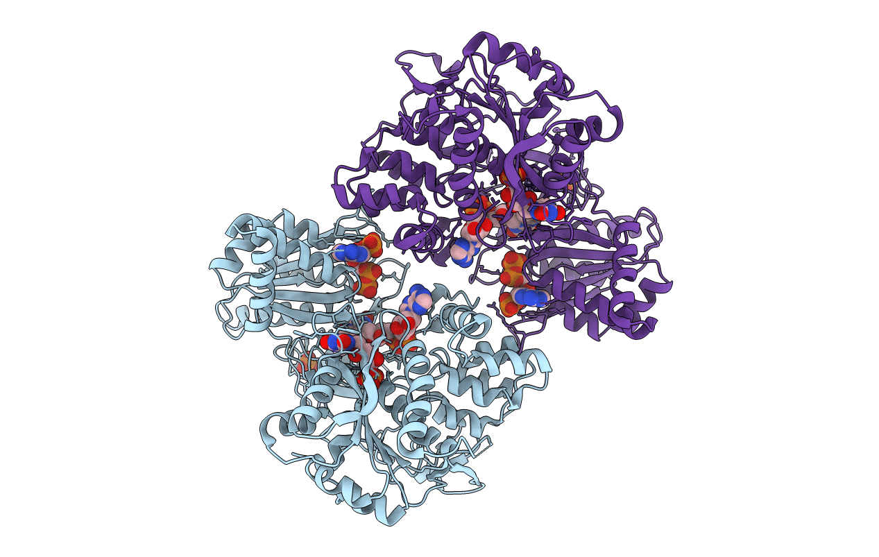 4Y9R image