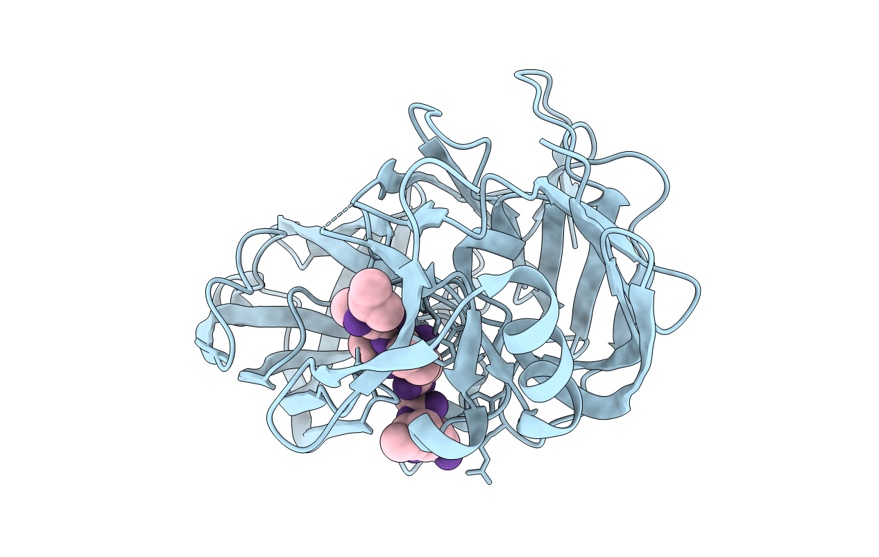 4Y9W image