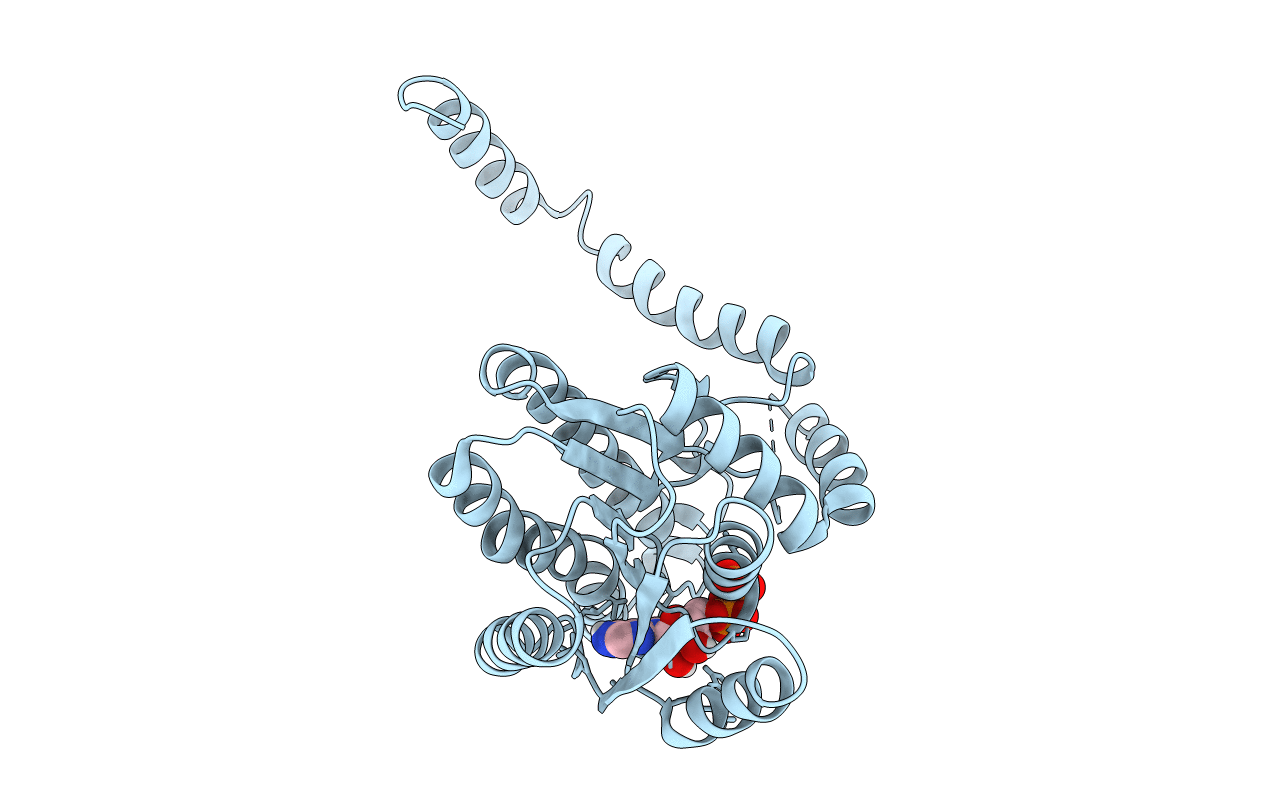 4YAC image