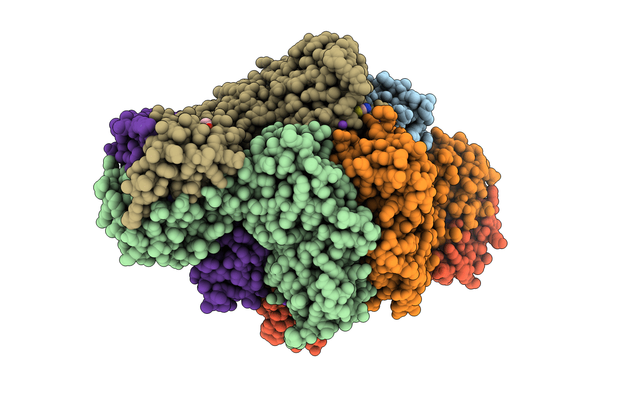 4YB5 image