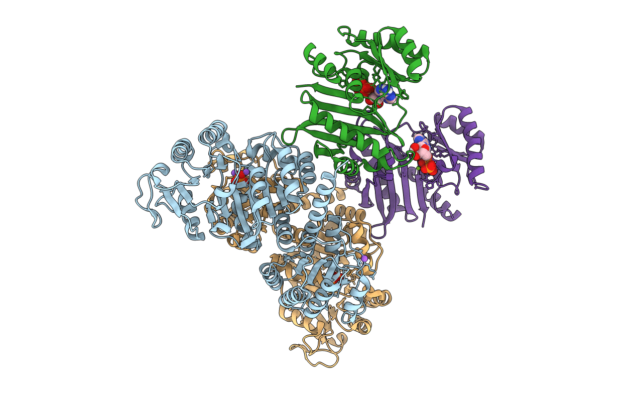 4YB8 image