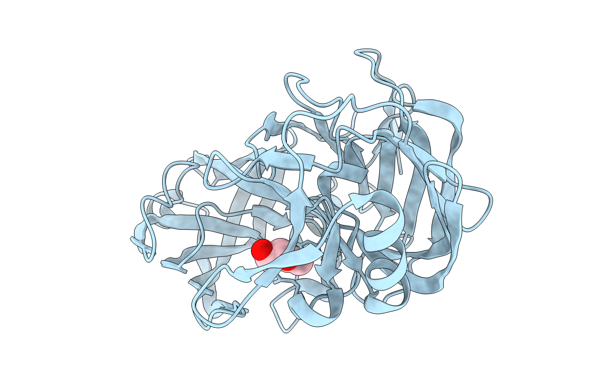 4YBF image