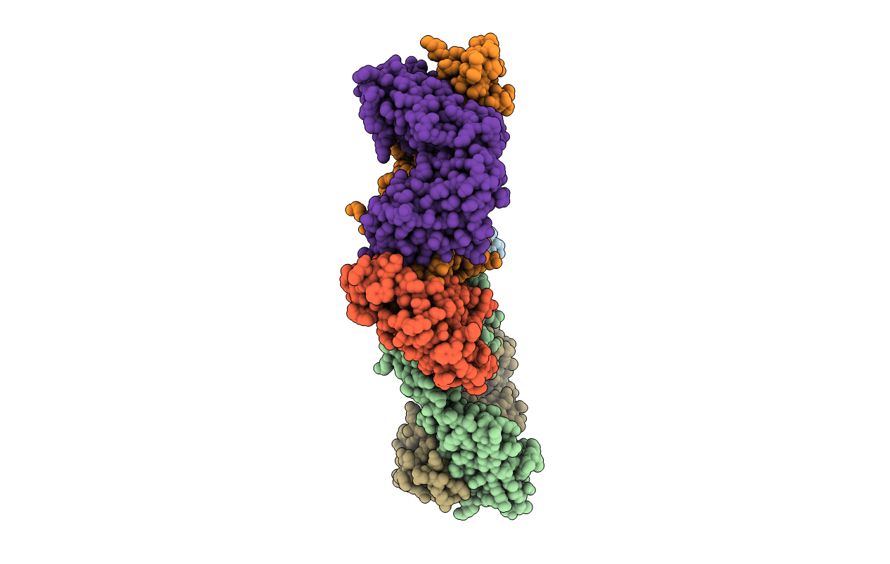 4YBL image