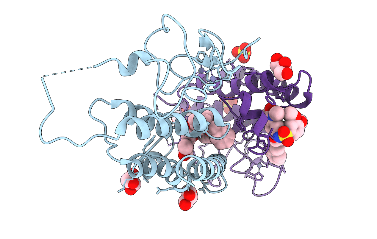 4YBM image