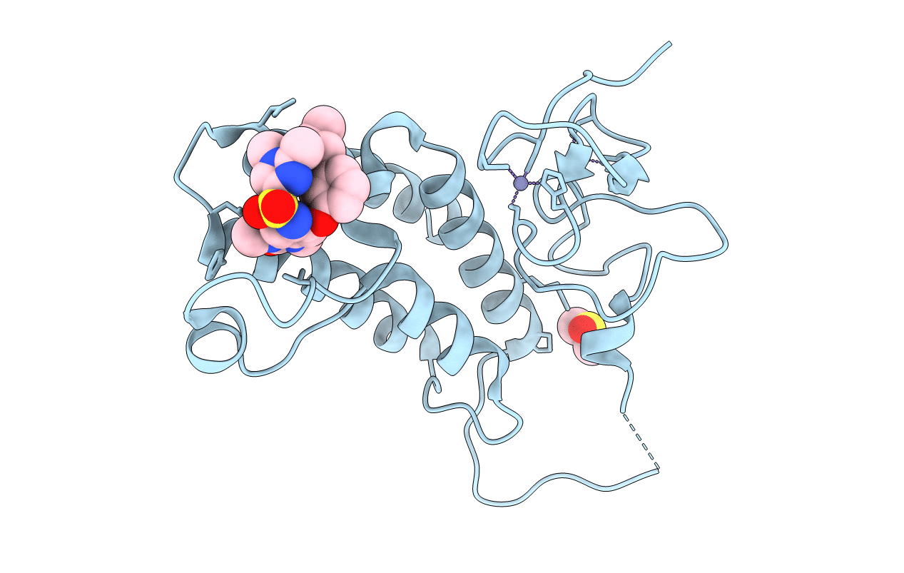 4YBS image