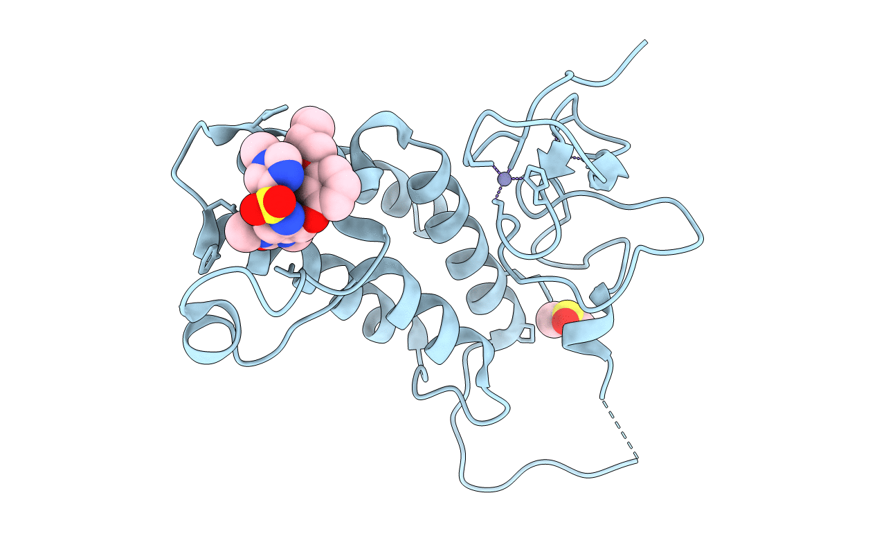 4YBT image