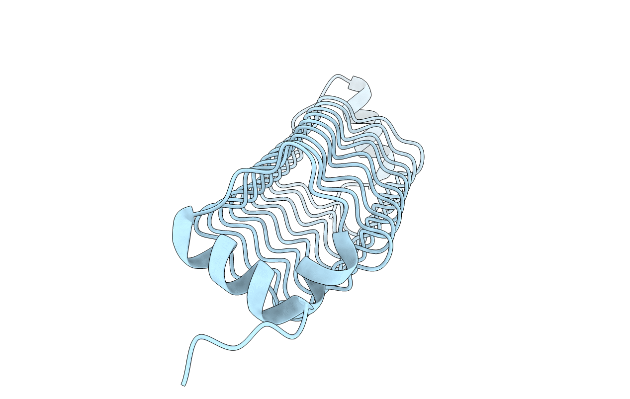 4YC5 image