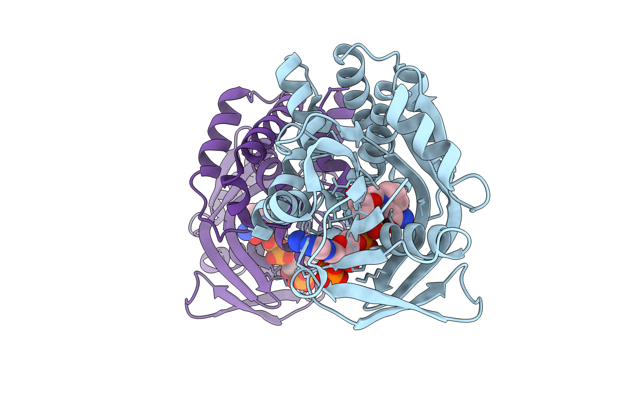 4YCA image