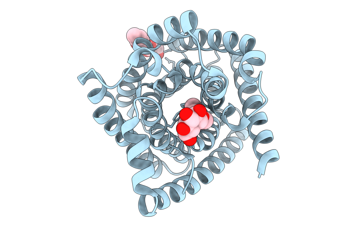 4YCR image