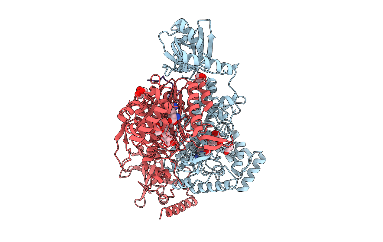 4YCU image