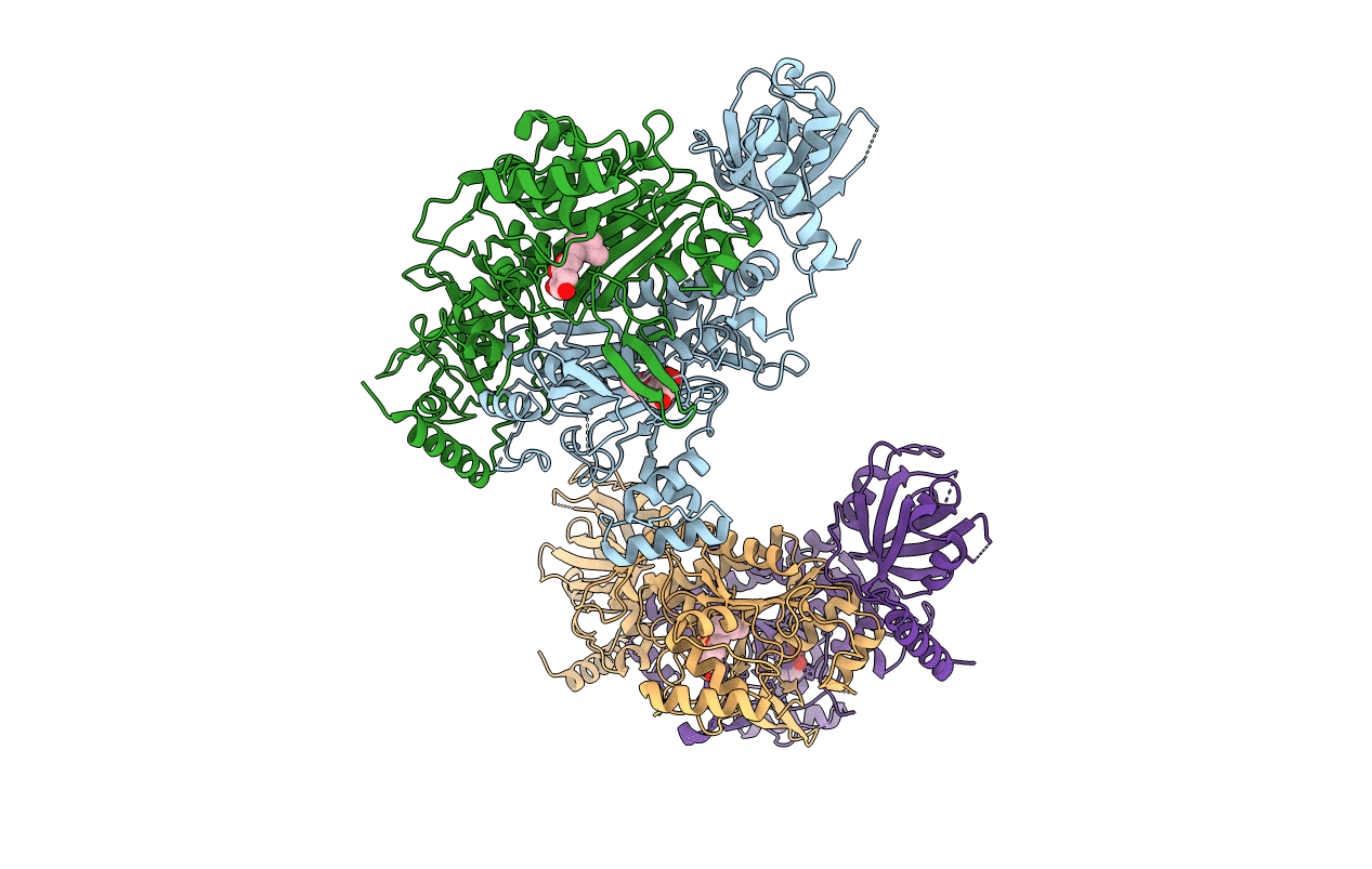 4YCV image