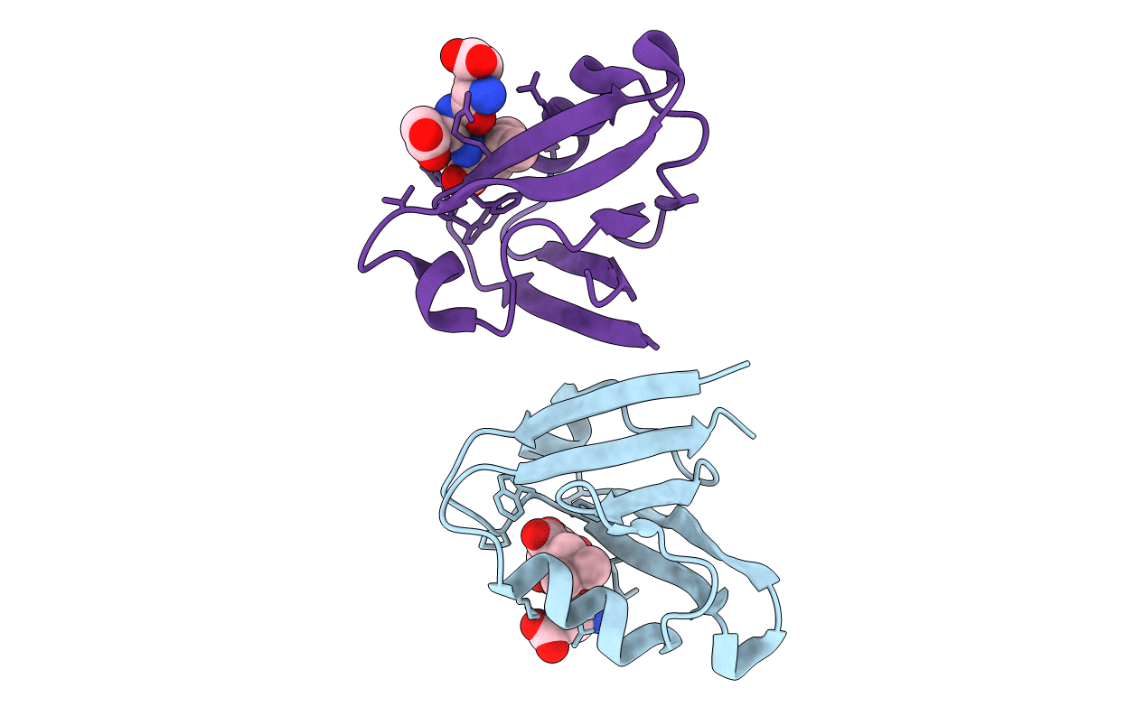 4YDP image