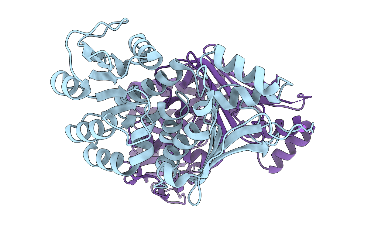 4YDR image