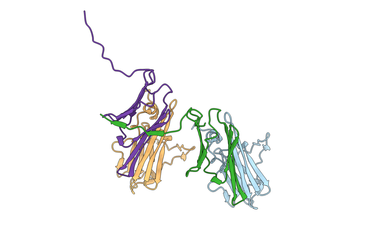 4YDZ image