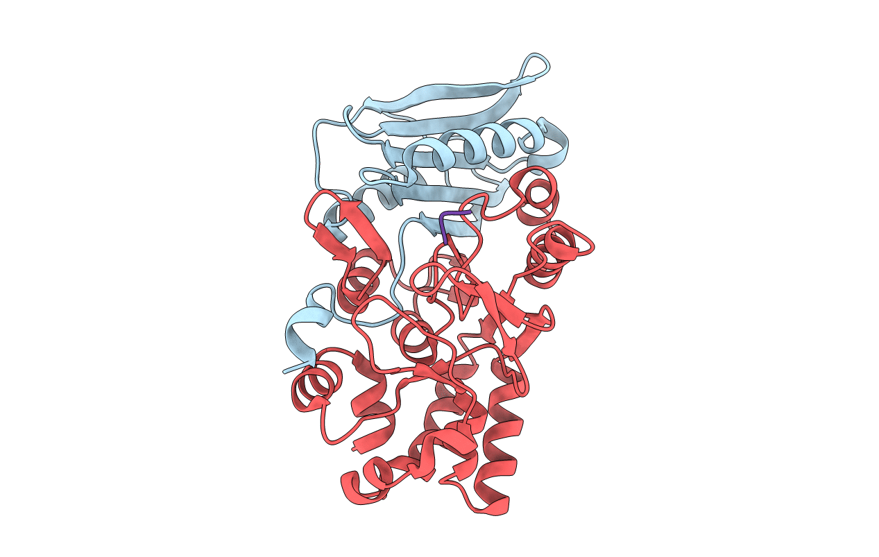 4YEC image