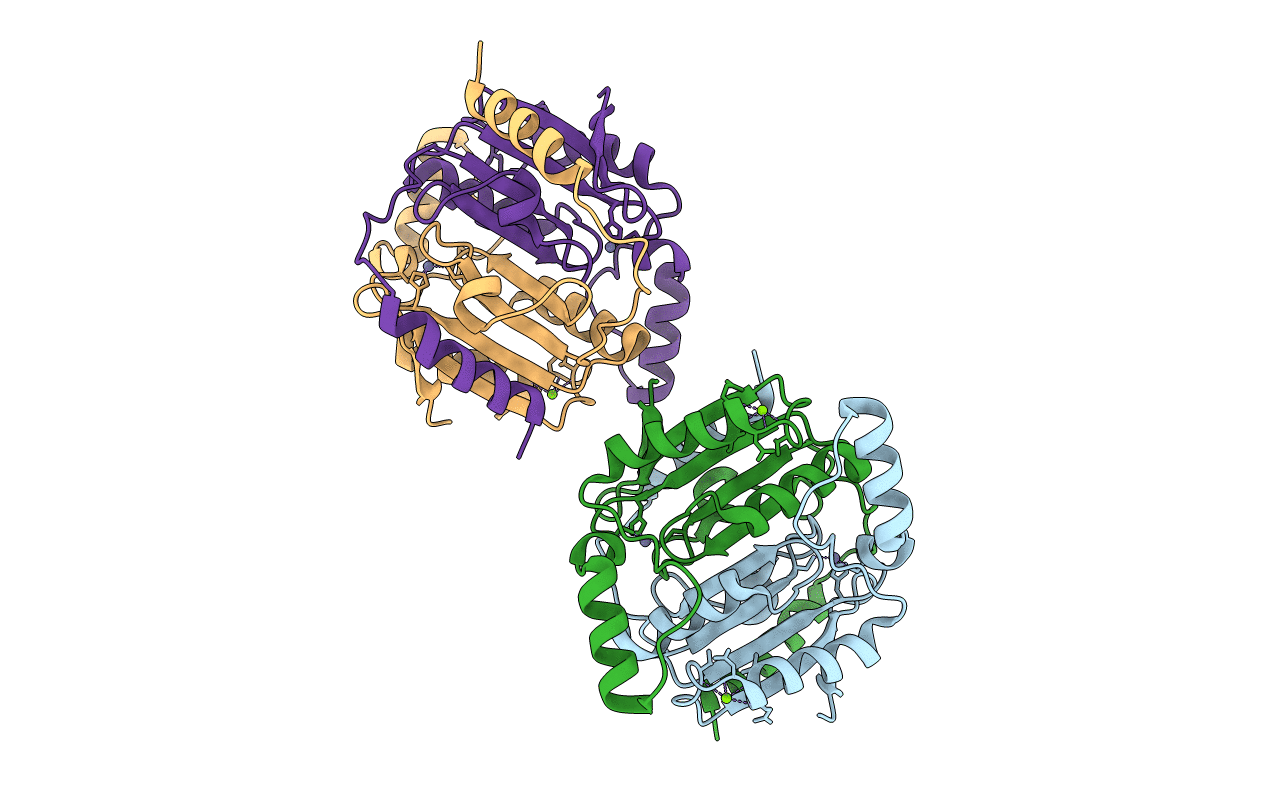 4YF4 image