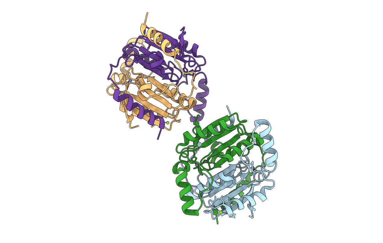 4YF6 image