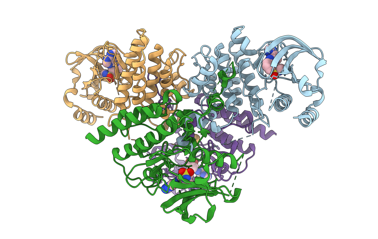 4YFI image