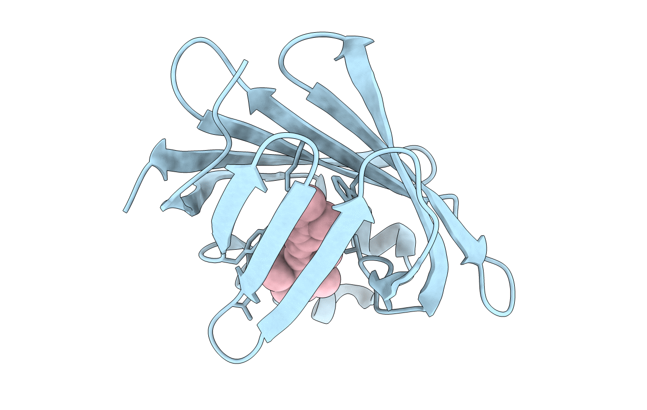 4YFP image